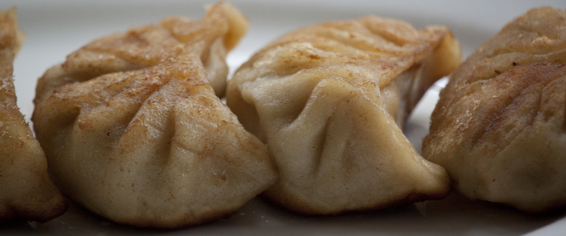 Pan Fried Pork Dumplings