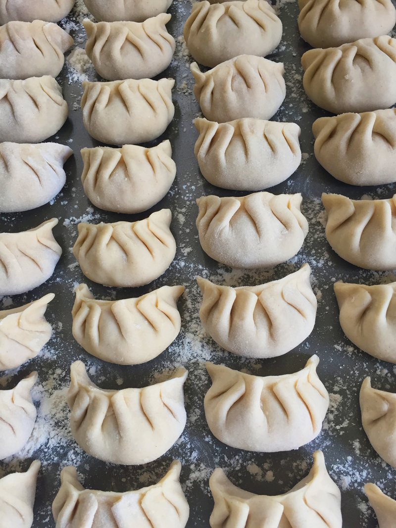 Pan Fried Shiitake Mushroom Dumplings